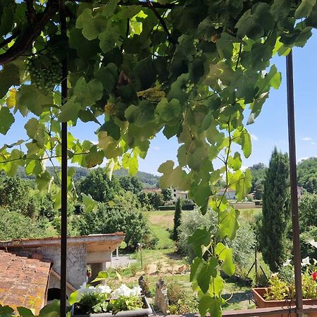 La Casa Nella Vigna Colline Del Vino Apartment Capannori Exterior foto