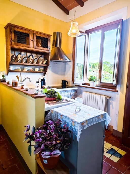 La Casa Nella Vigna Colline Del Vino Apartment Capannori Exterior foto