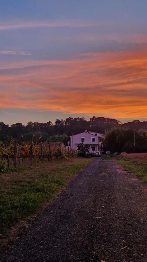 La Casa Nella Vigna Colline Del Vino Apartment Capannori Exterior foto