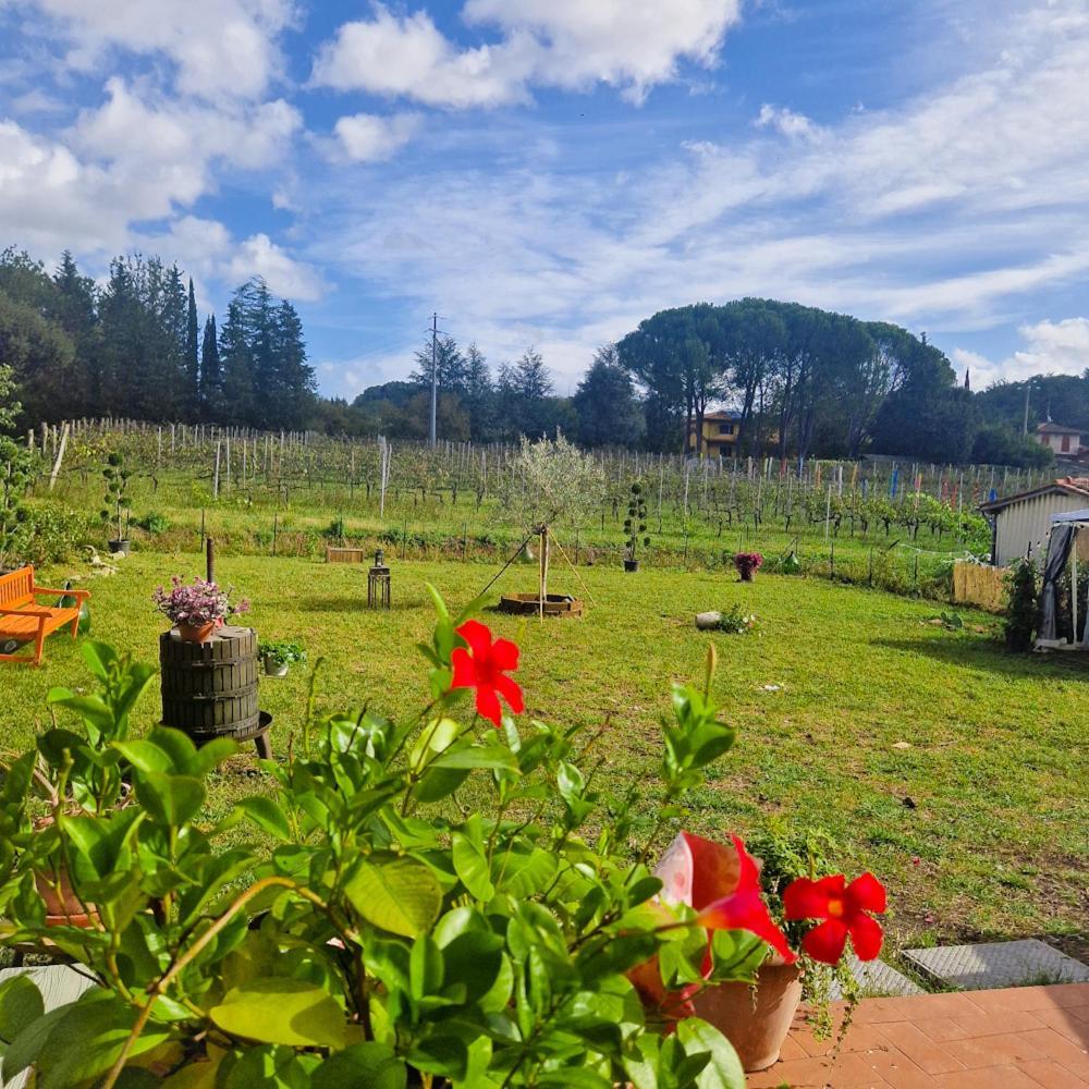 La Casa Nella Vigna Colline Del Vino Apartment Capannori Exterior foto
