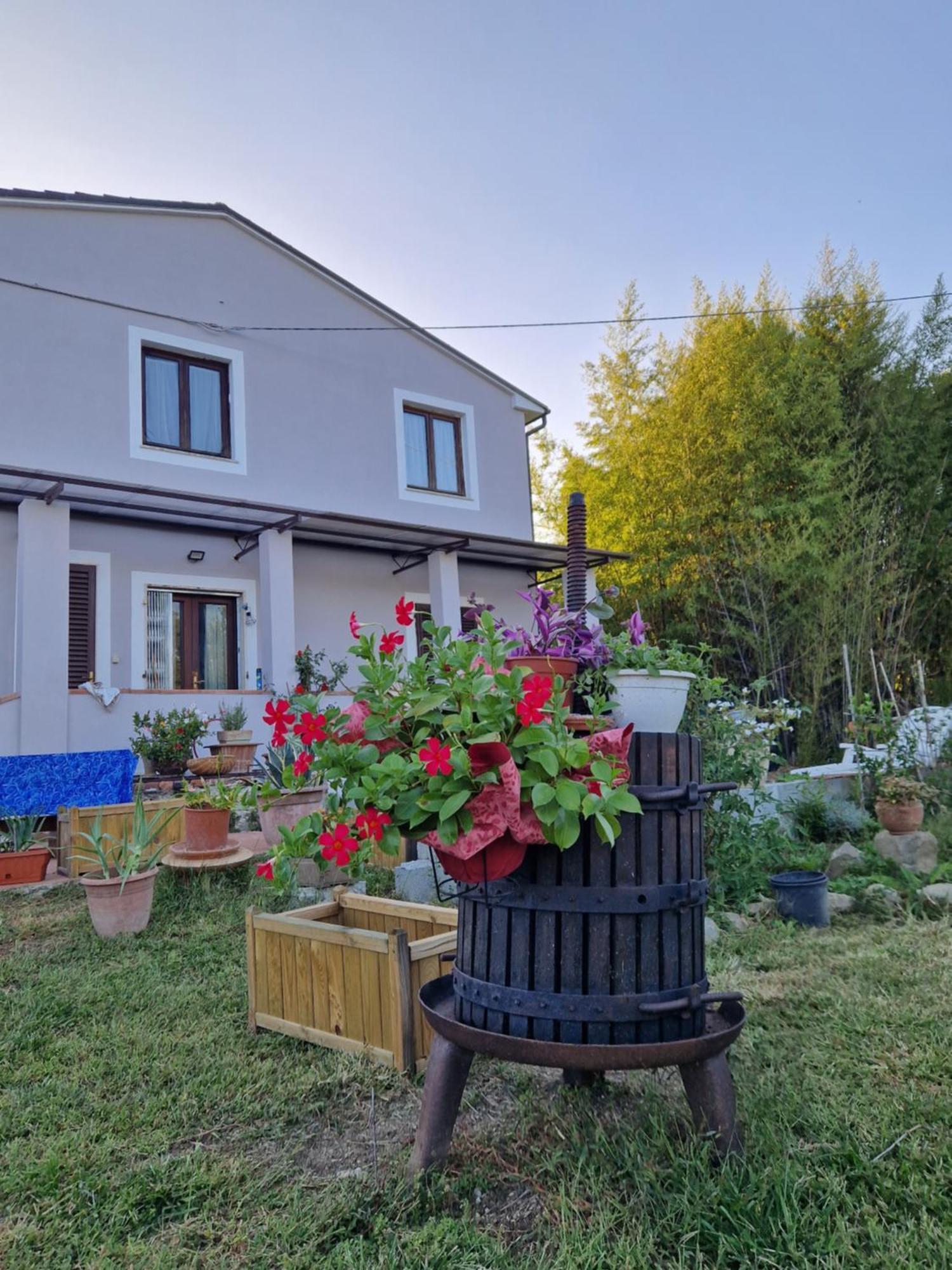 La Casa Nella Vigna Colline Del Vino Apartment Capannori Exterior foto