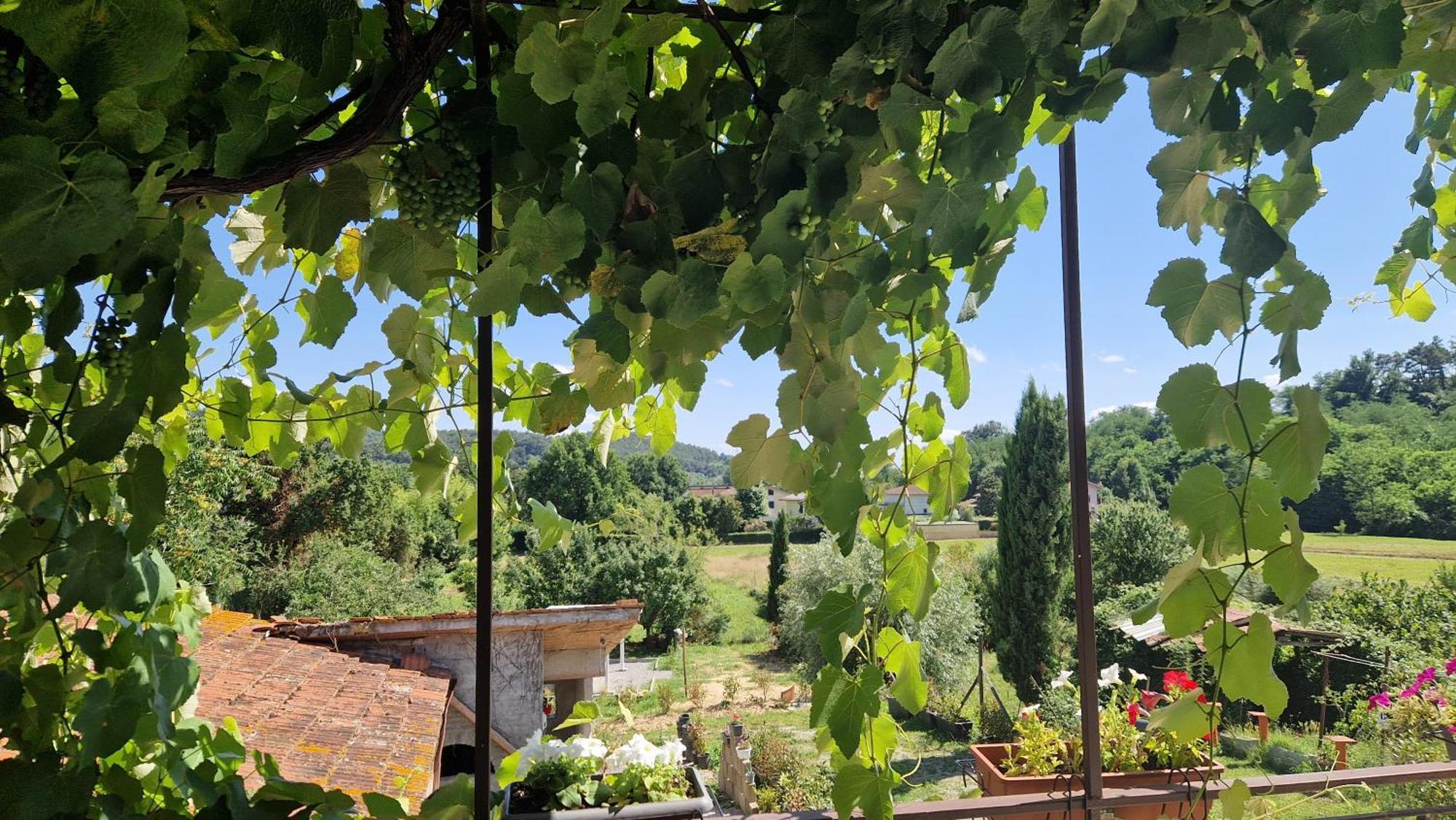 La Casa Nella Vigna Colline Del Vino Apartment Capannori Exterior foto